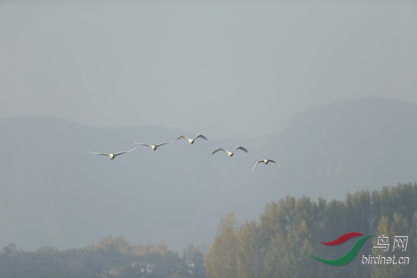 _E8J0471.jpg