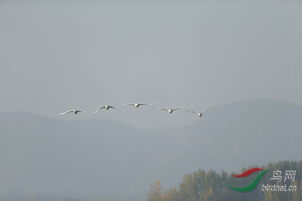 _E8J0472.jpg