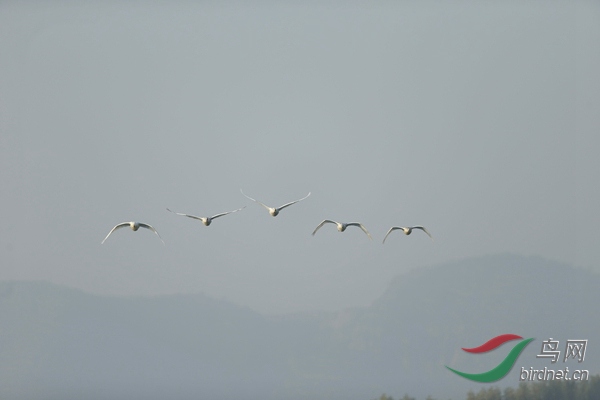 _E8J0481.jpg