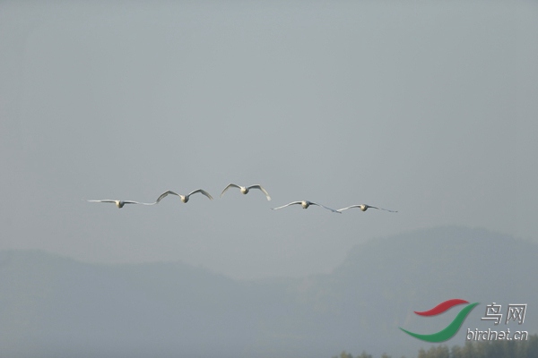 _E8J0480.jpg