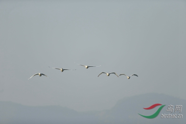 _E8J0482.jpg