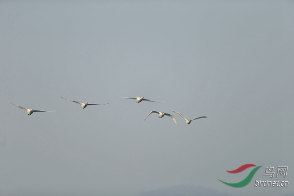 _E8J0489.jpg
