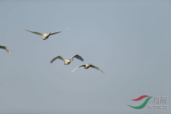 _E8J0505.jpg