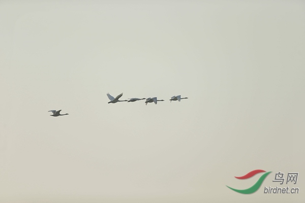 _E8J0514.jpg