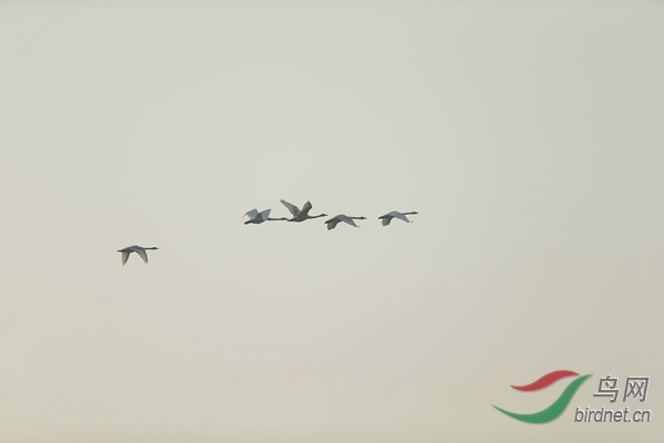 _E8J0513.jpg