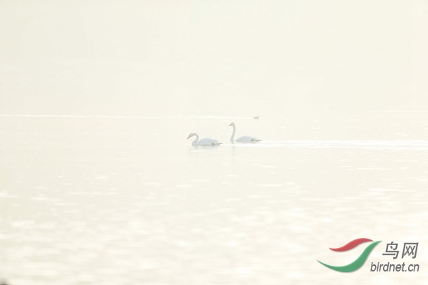 _E8J0520.jpg