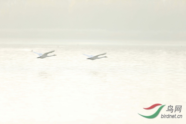 _E8J0526.jpg