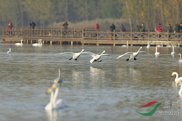 _E8J0548.jpg