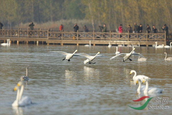 _E8J0551.jpg