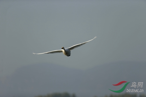 _E8J0584.jpg