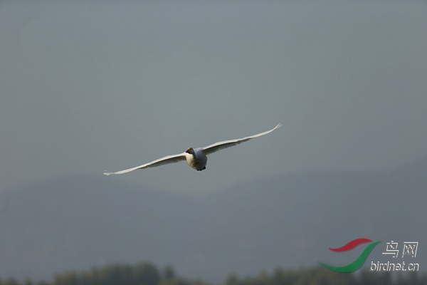_E8J0581.jpg