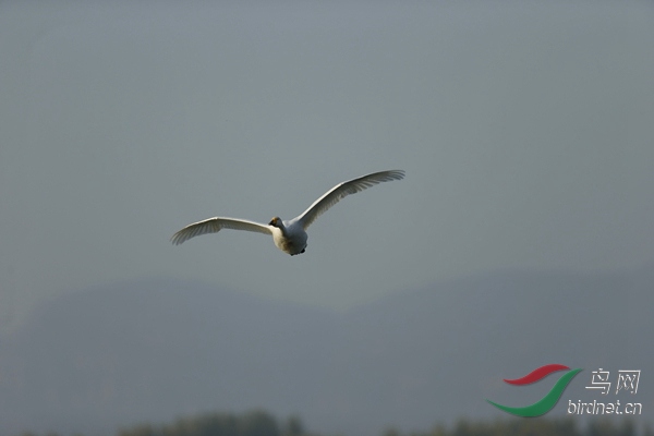 _E8J0583.jpg
