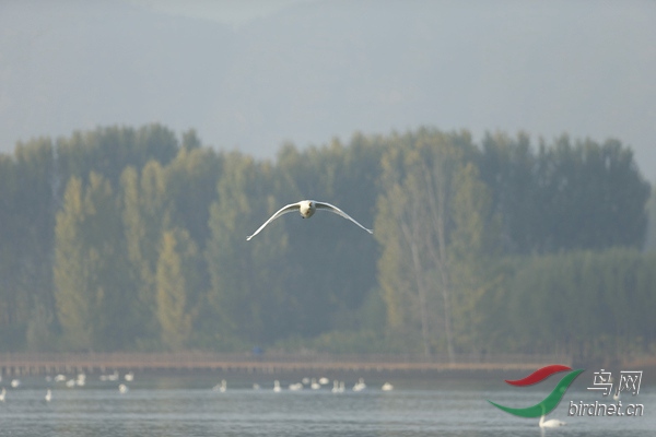 _E8J0556.jpg
