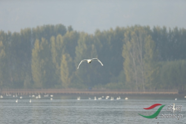 _E8J0554.jpg