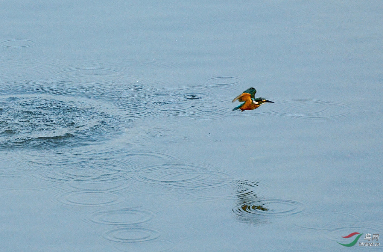 DSC_6961.JPG