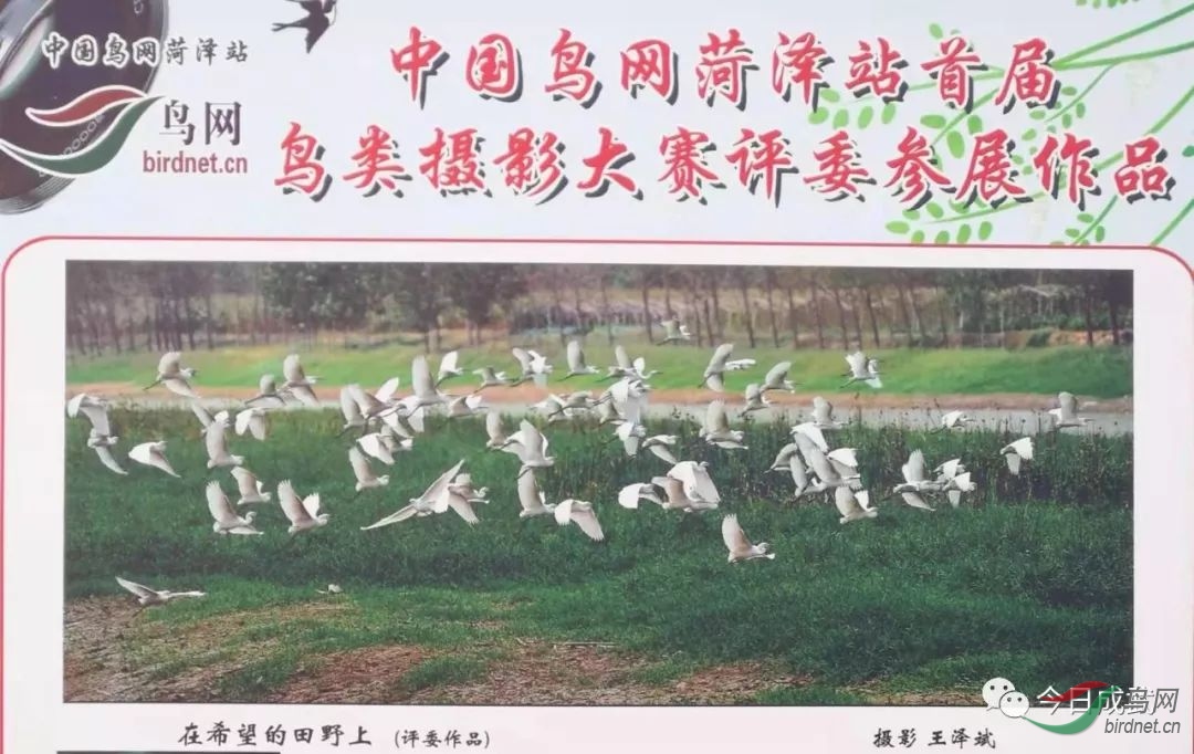 ���Ƚ���Ʒ