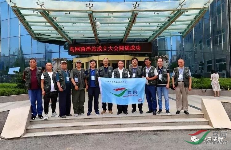 ��󲿷�������Ӱ