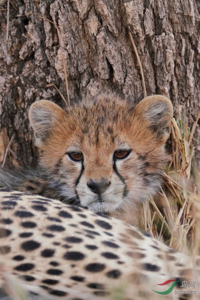 9924423_1562917684700 (1).jpg