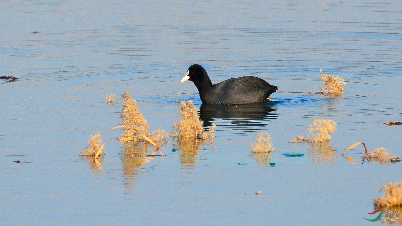 DSC_6763.JPG