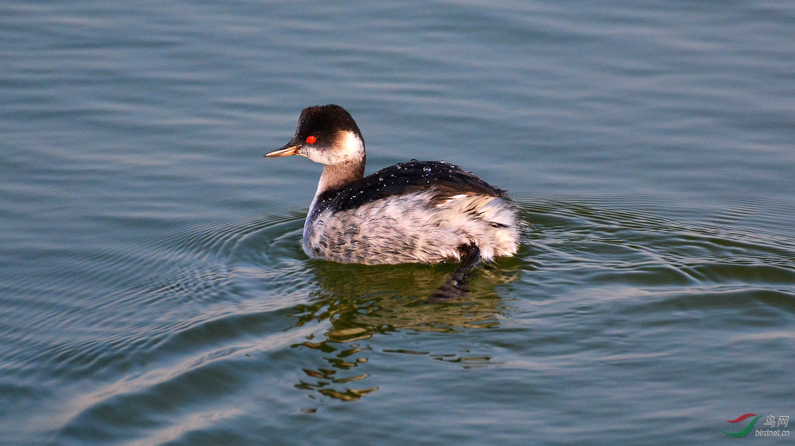 DSC_6322.JPG