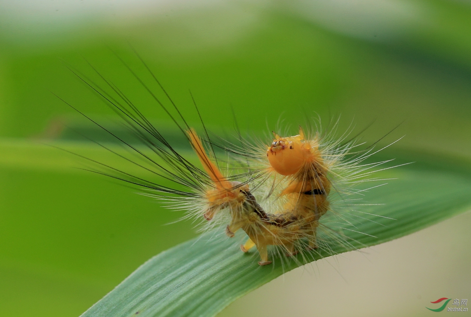 AI0I6035 - ����.JPG