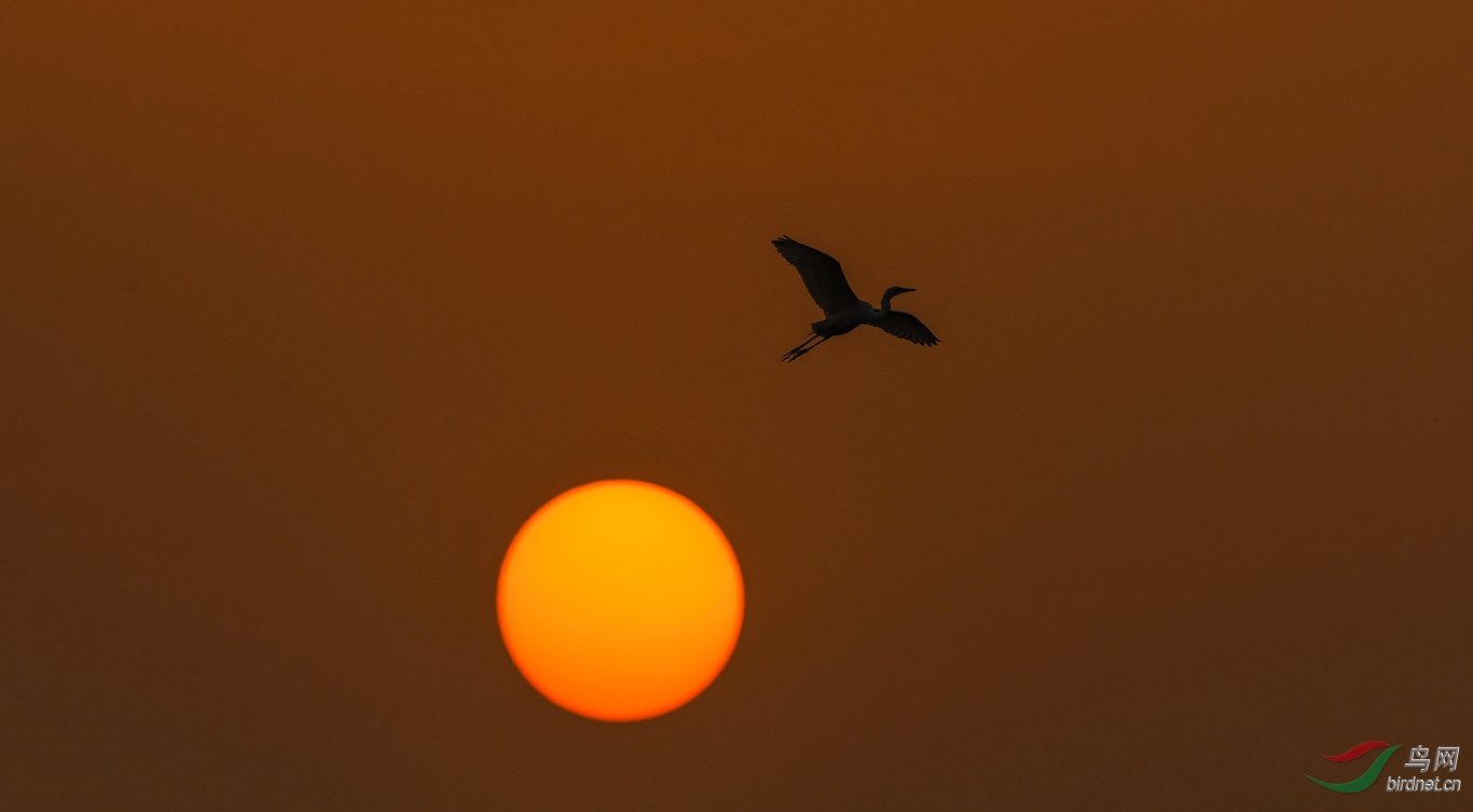 DSC_5745.JPG