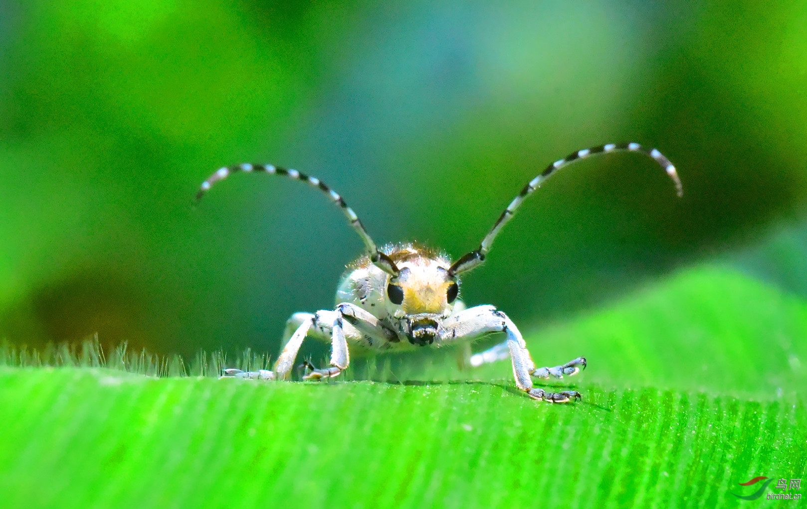 DSC_4639-2019-7-2_����.jpg