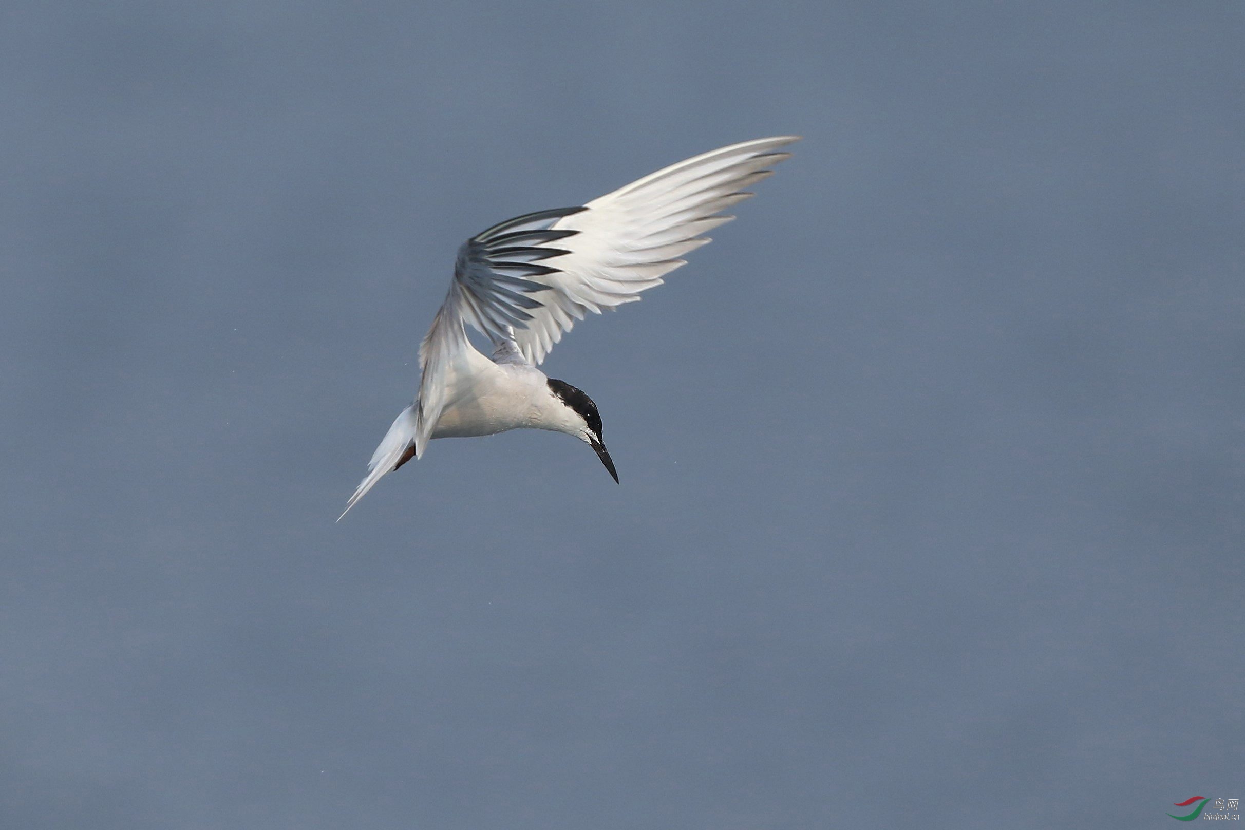 2B9A8135.jpg