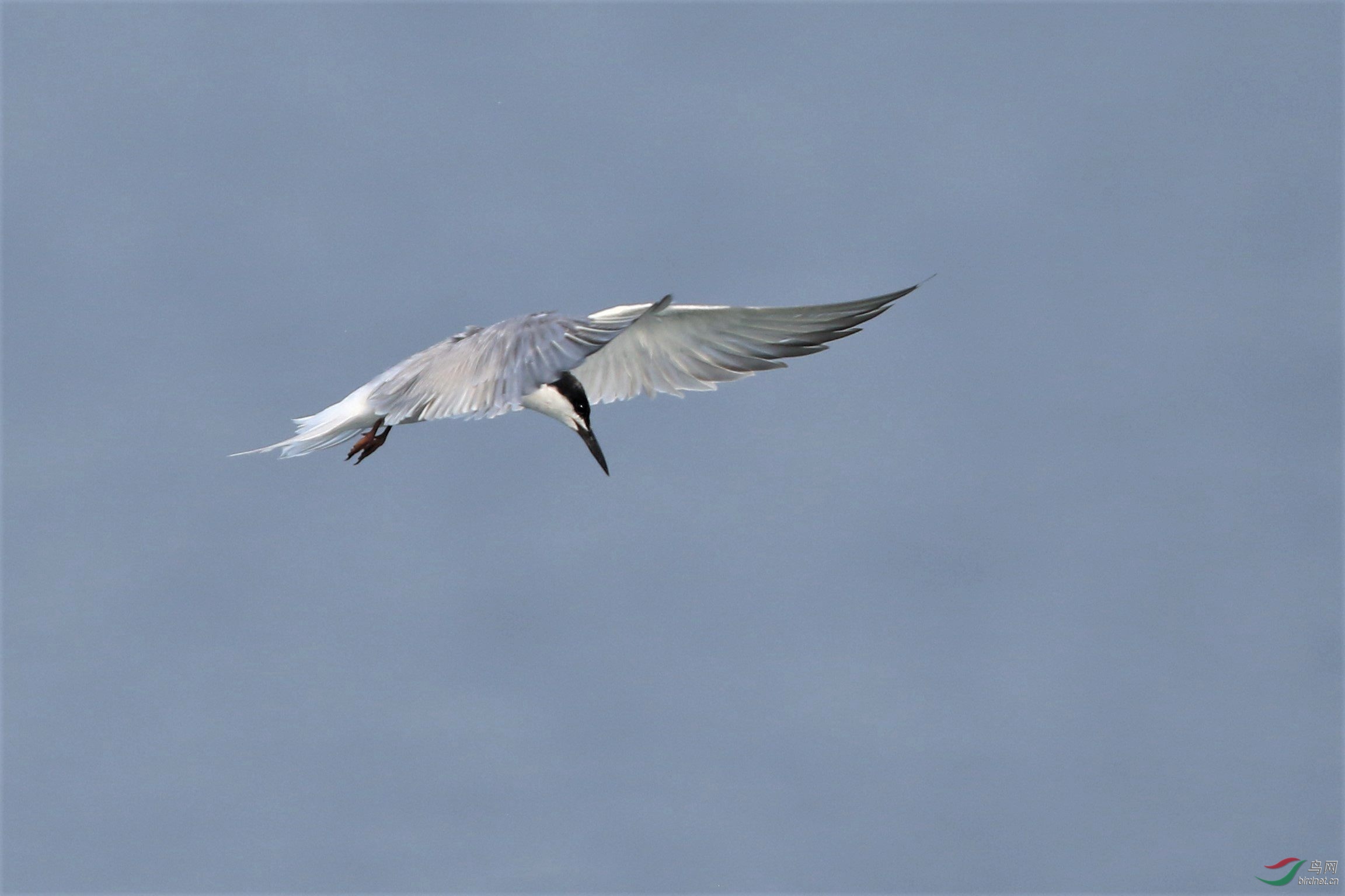 2B9A8138.jpg