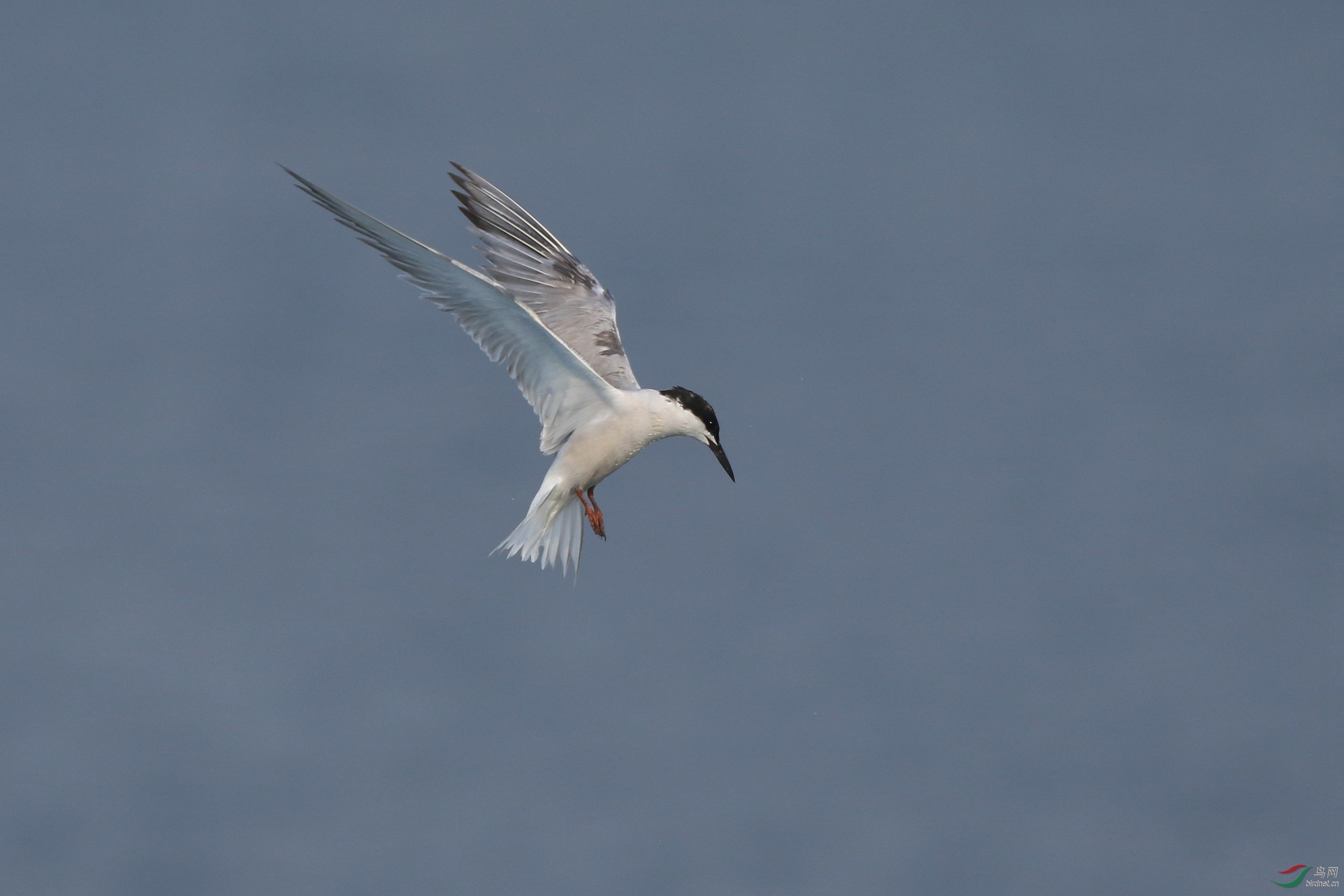2B9A8134.jpg