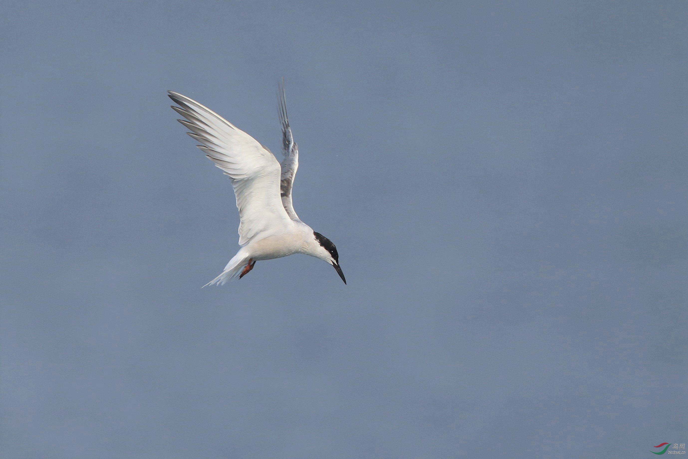 2B9A8137.jpg