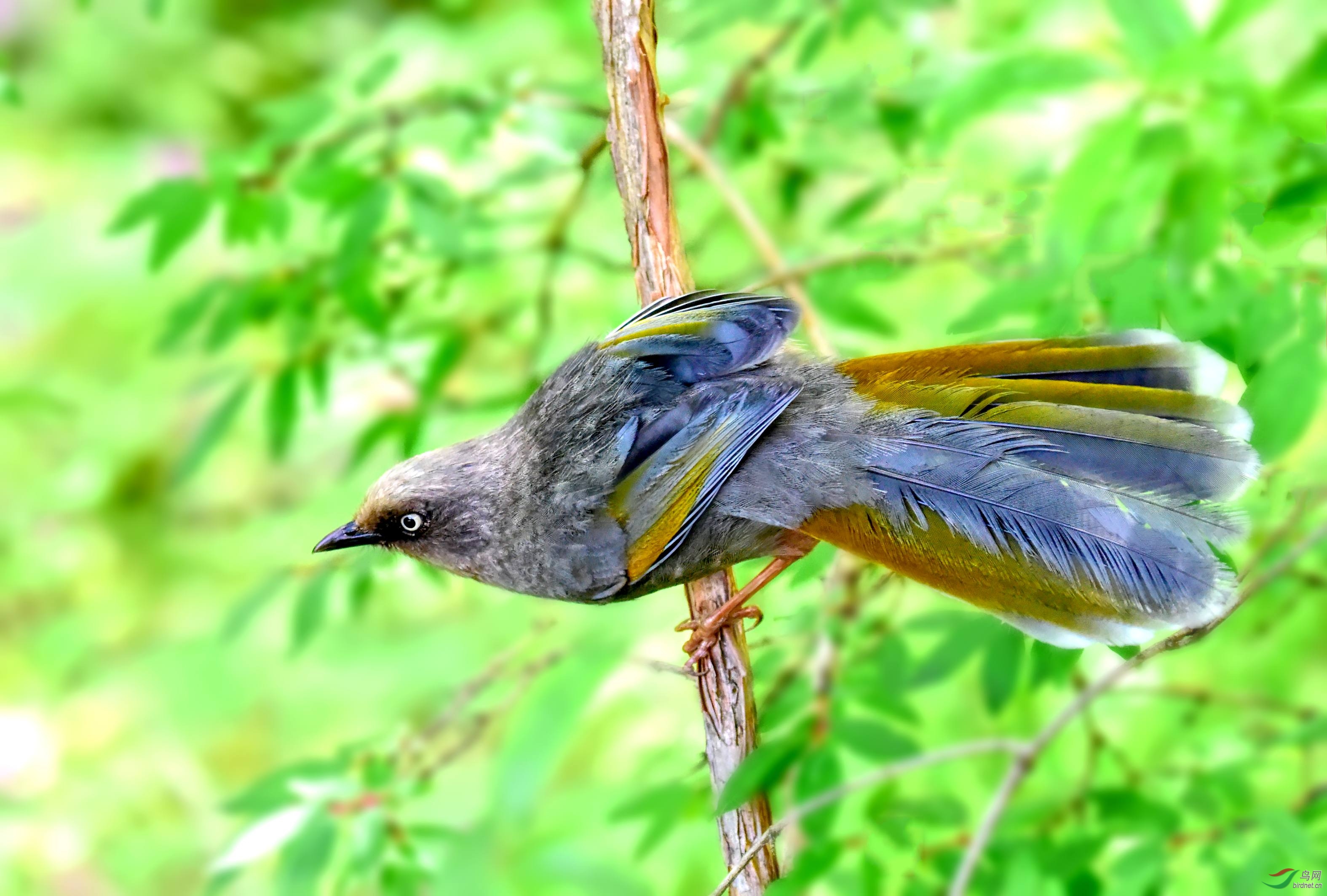 DSC_0726_conew3.jpg