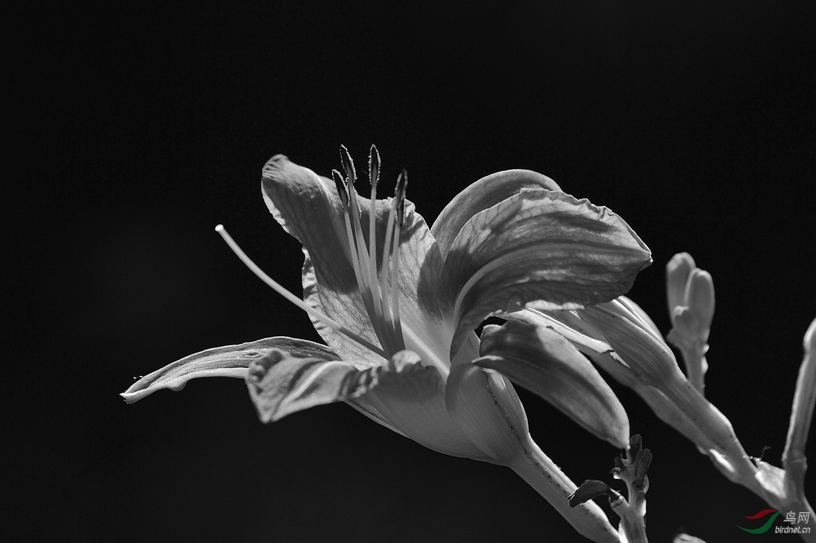 _D4S3279_4269a1.jpg