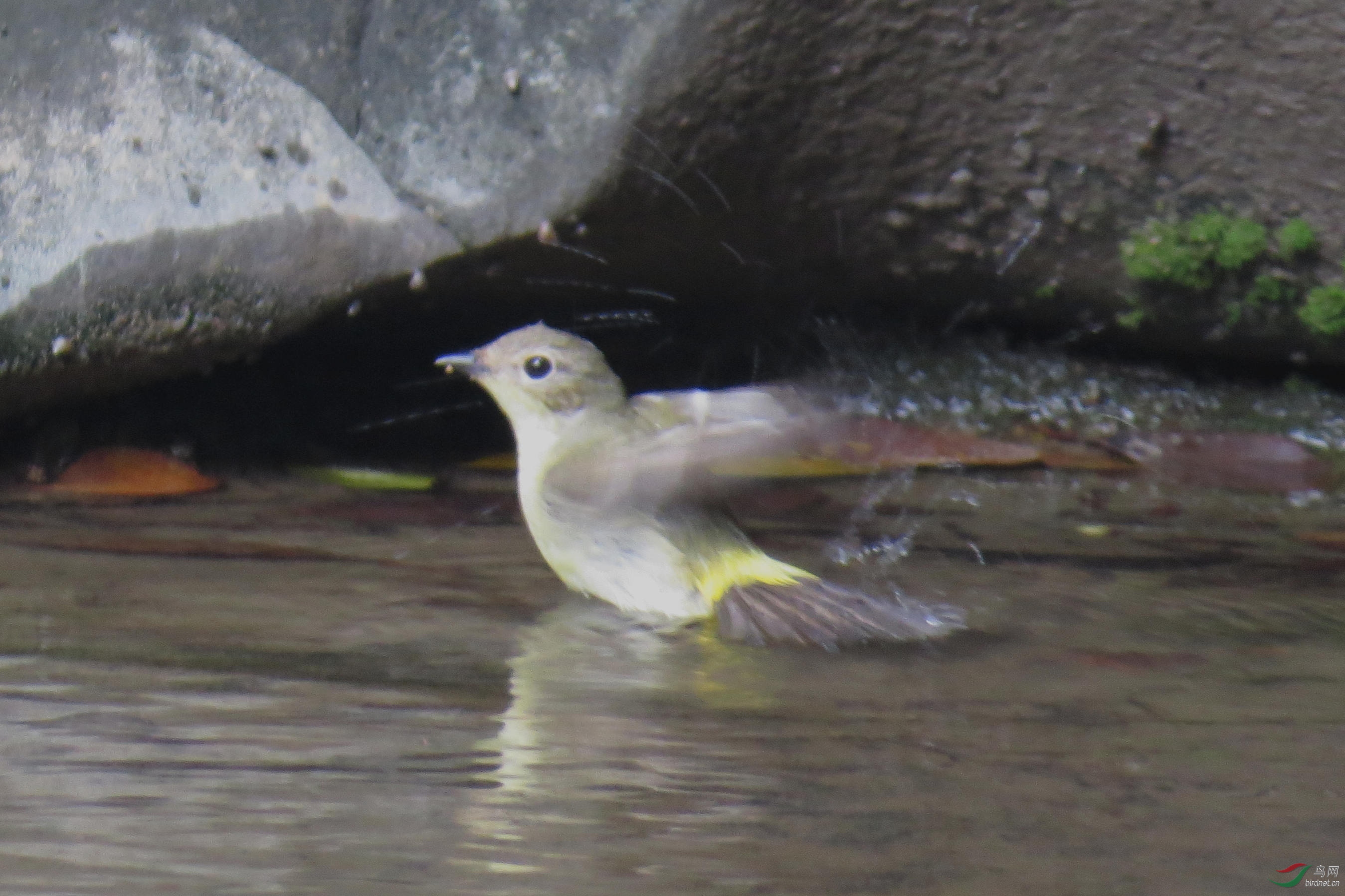 ��ü[��]�l