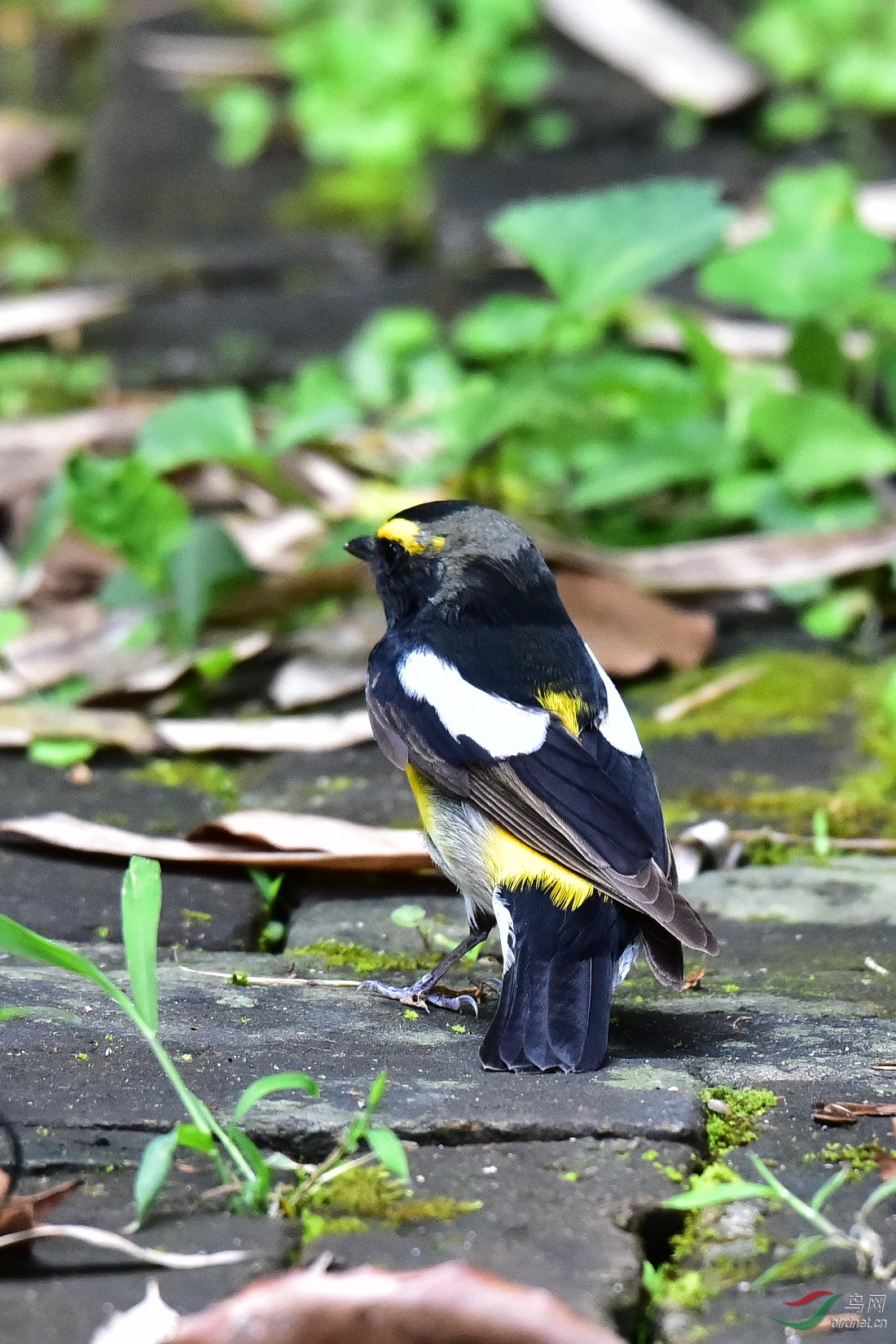 DSC_0432.JPG