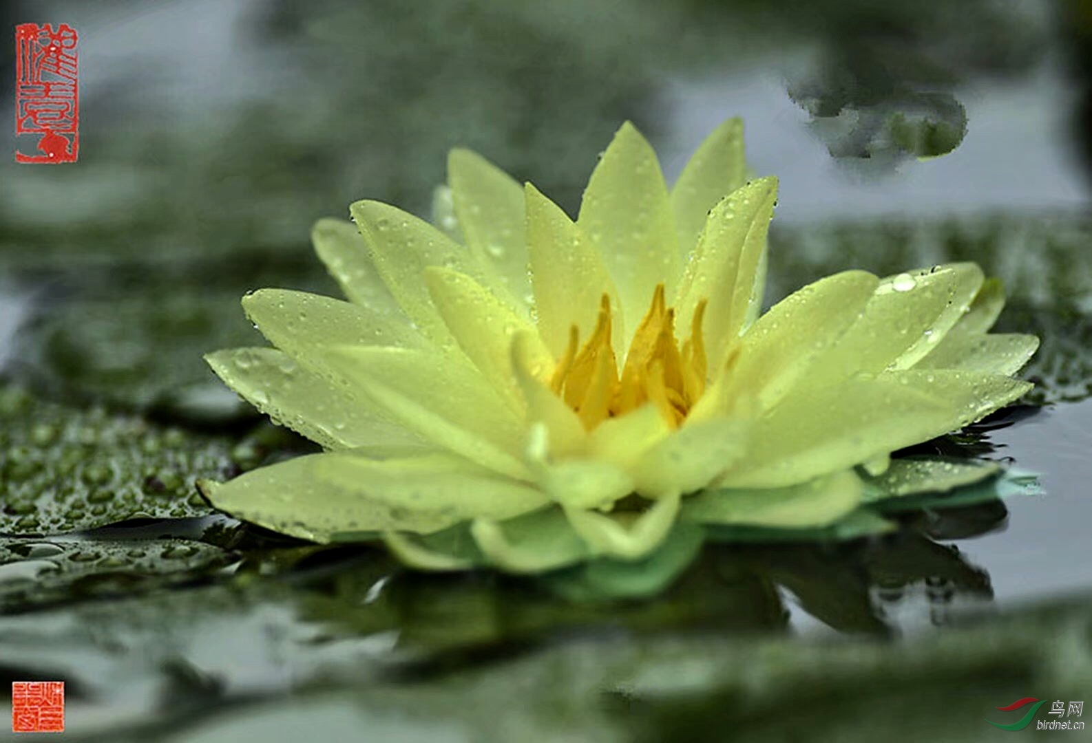 EC93FAA0-E369-40D6-A5CD-7B4111CCE164.jpeg