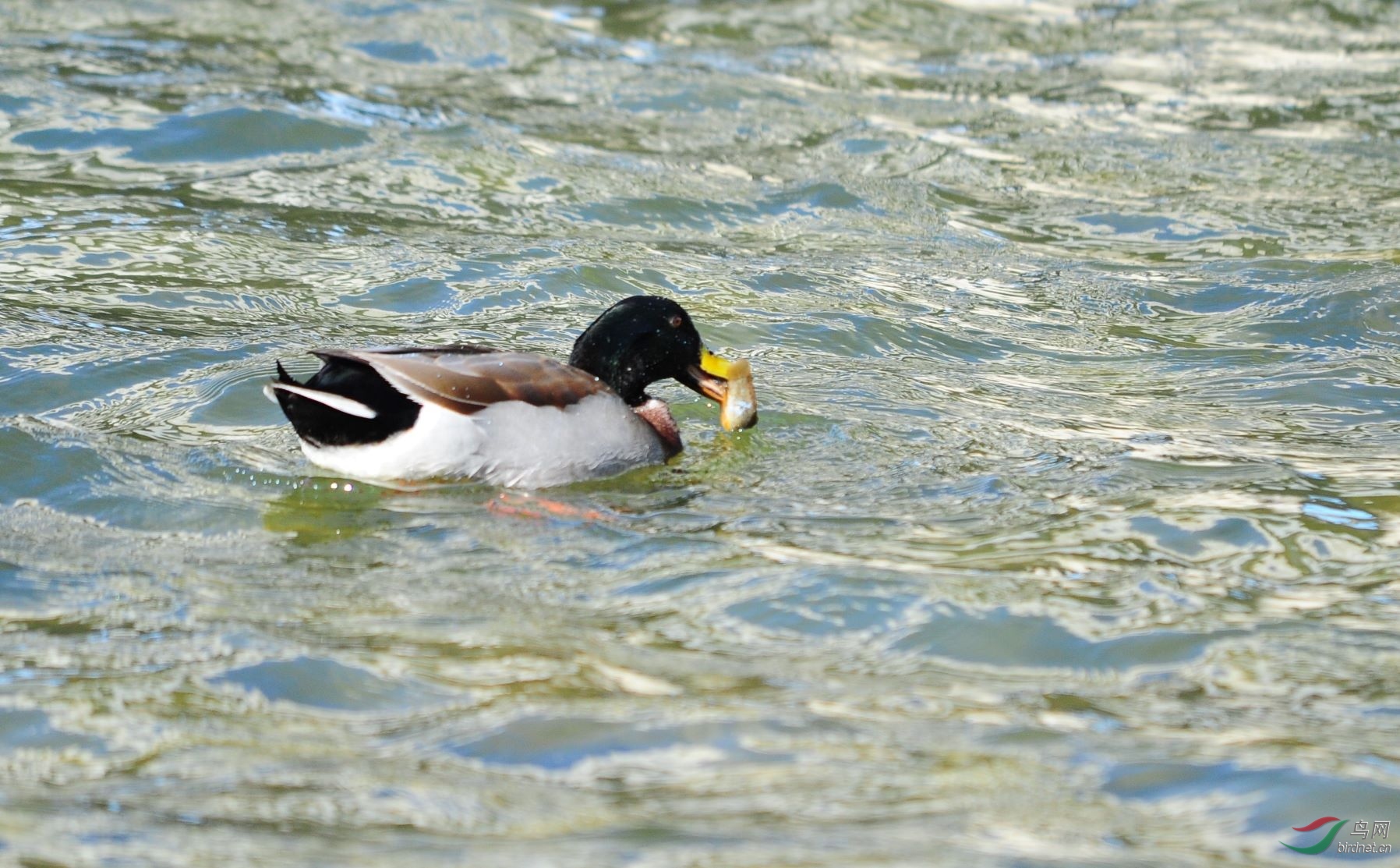 DSC_0482.jpg