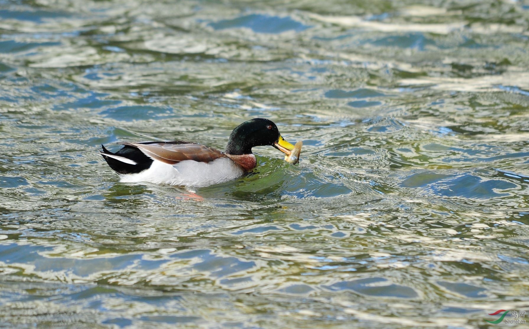DSC_0495.jpg