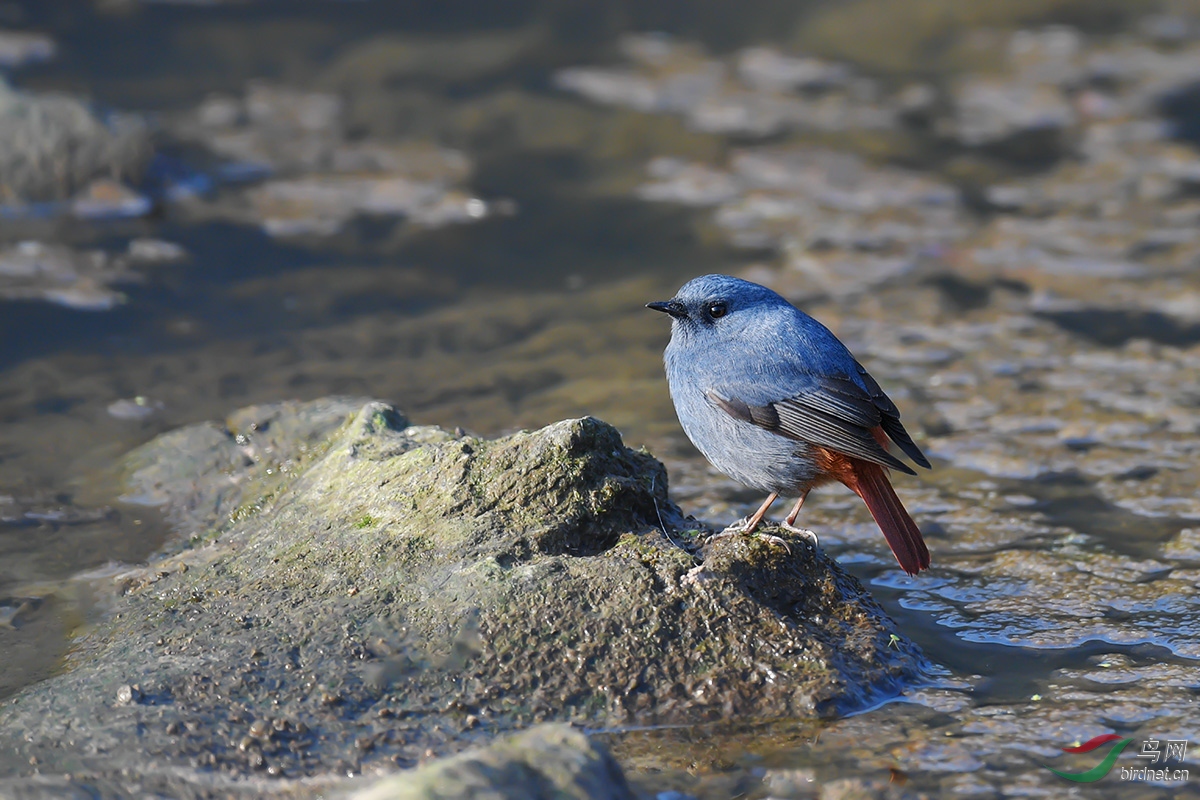 DSC_p9266.jpg