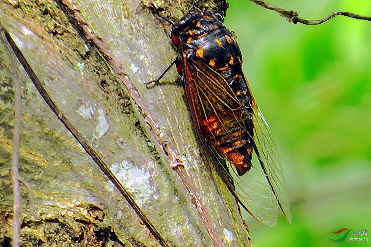 ��Ƭ 2425_����_����.jpg