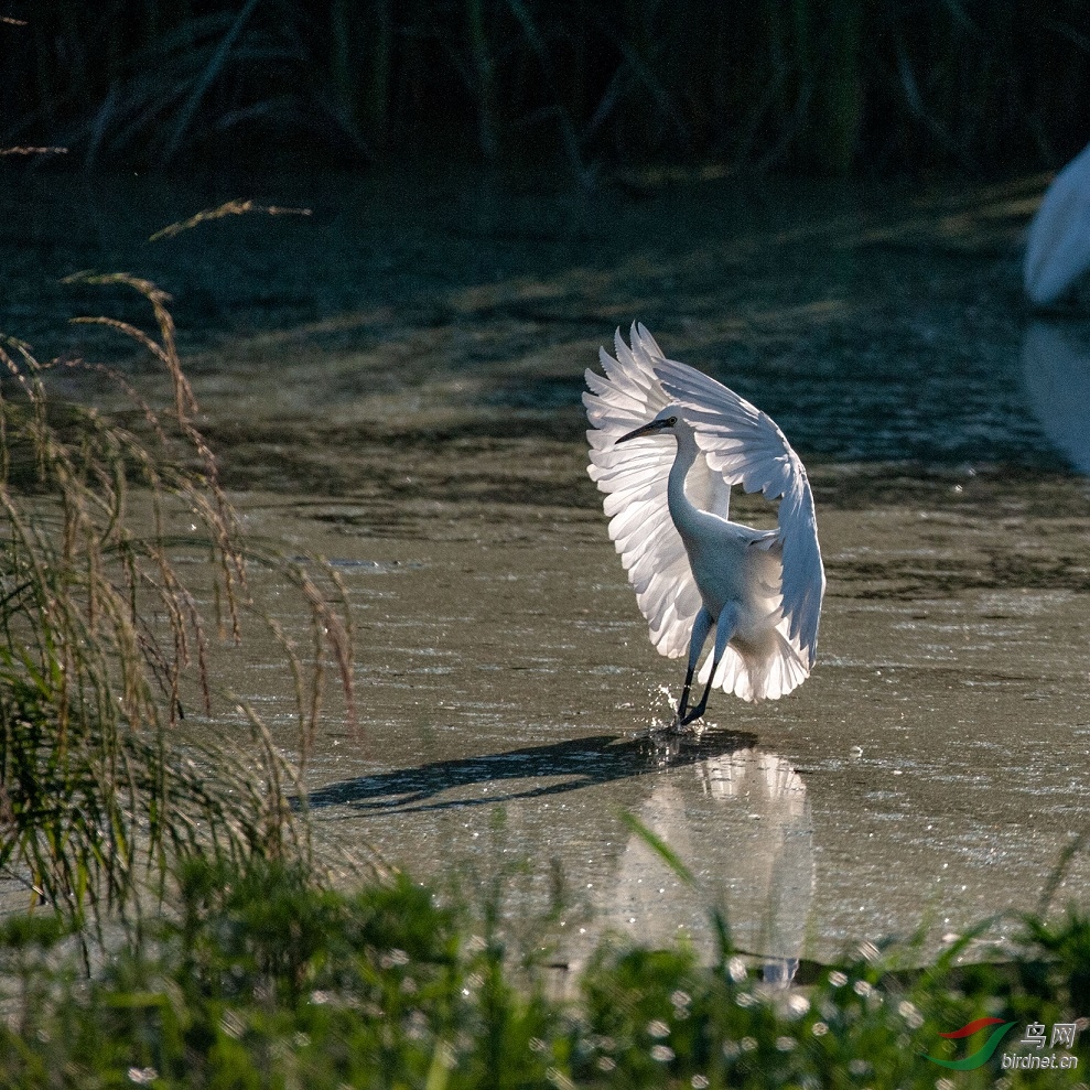 DSC_8843.jpg