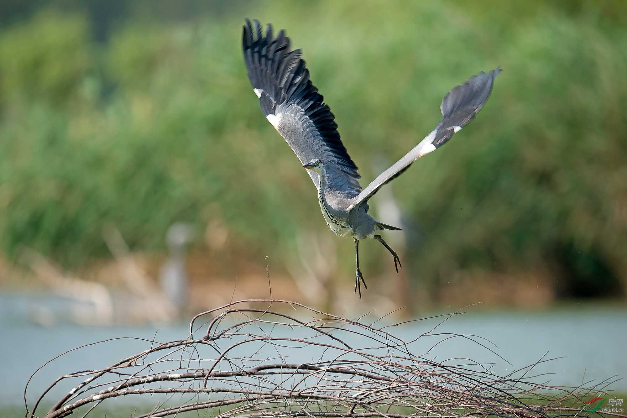 _DSC6345=.jpg