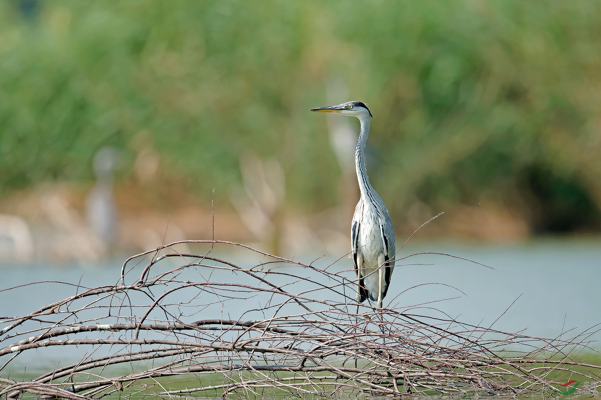 _DSC6343=.jpg
