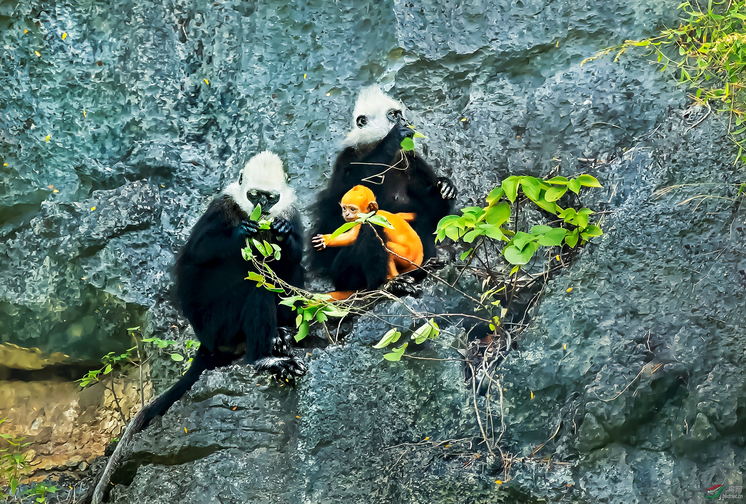 AC1I3781 (5)-1-�ָ���.jpg