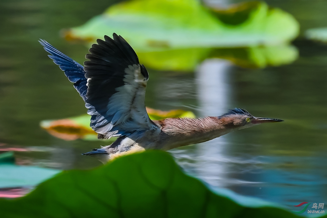 DSC_2080_����.jpg