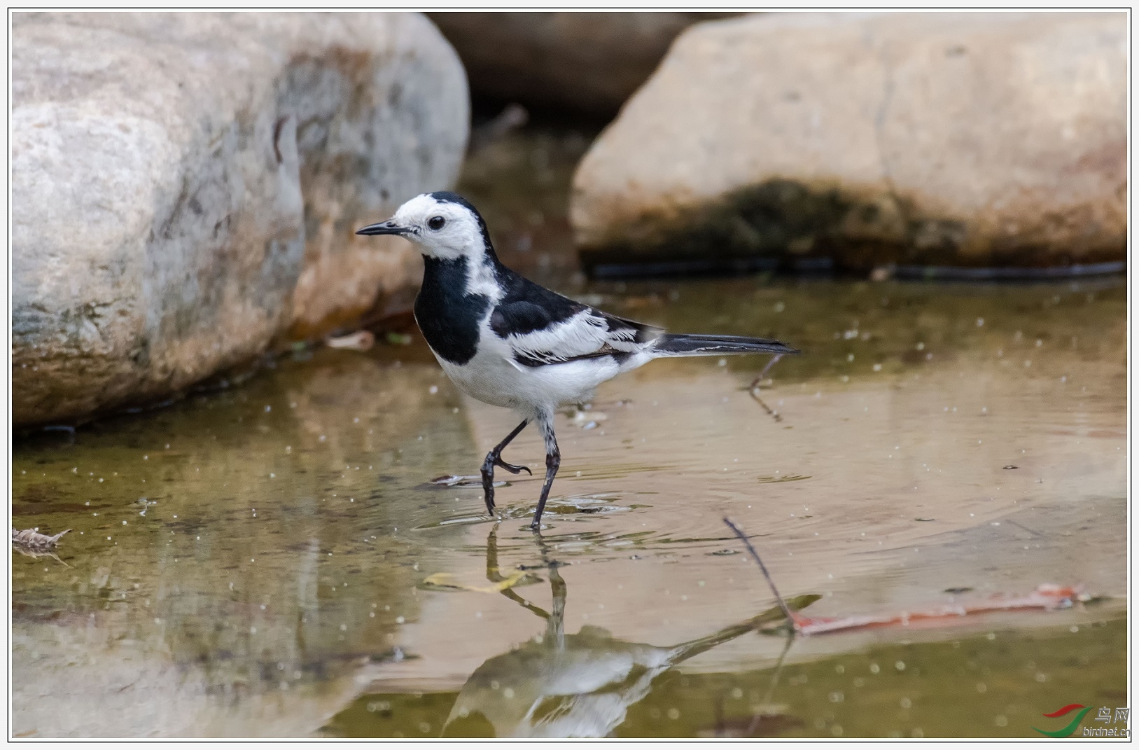 ��ʳ�İ��n�_