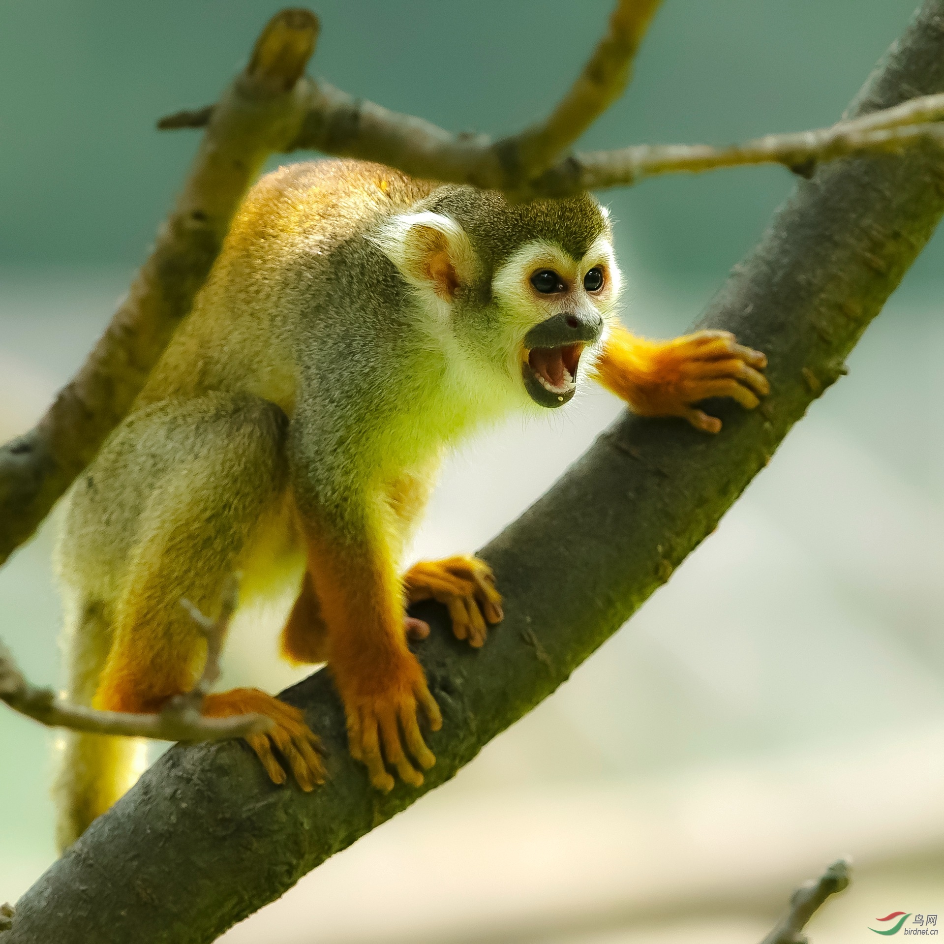 �ҹ���ȥ   ��������ѽ��.jpg