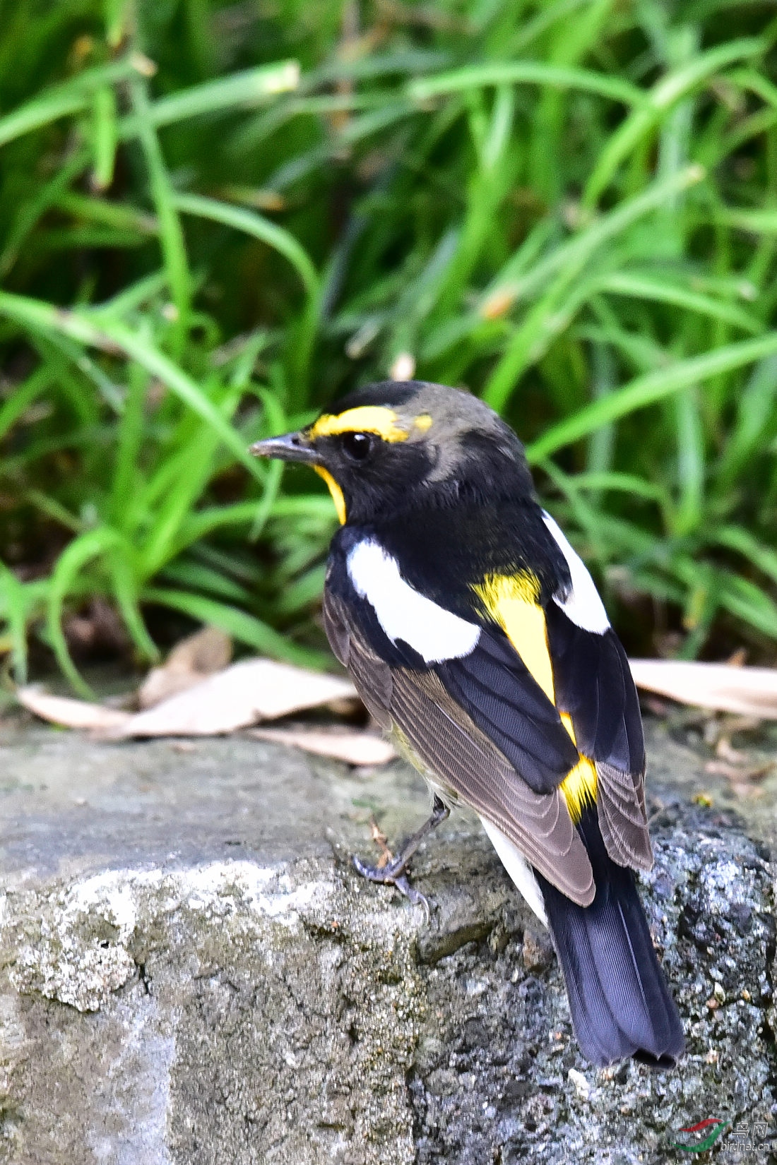 DSC_0448.JPG