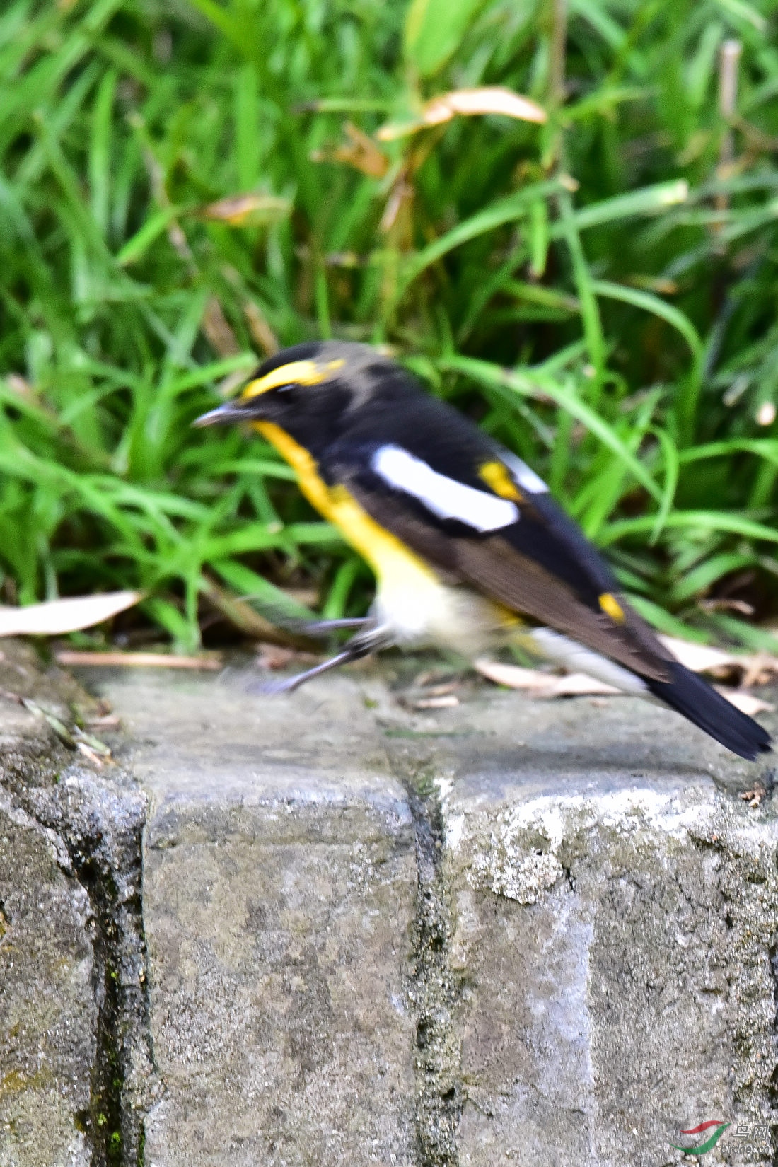 DSC_0449.JPG