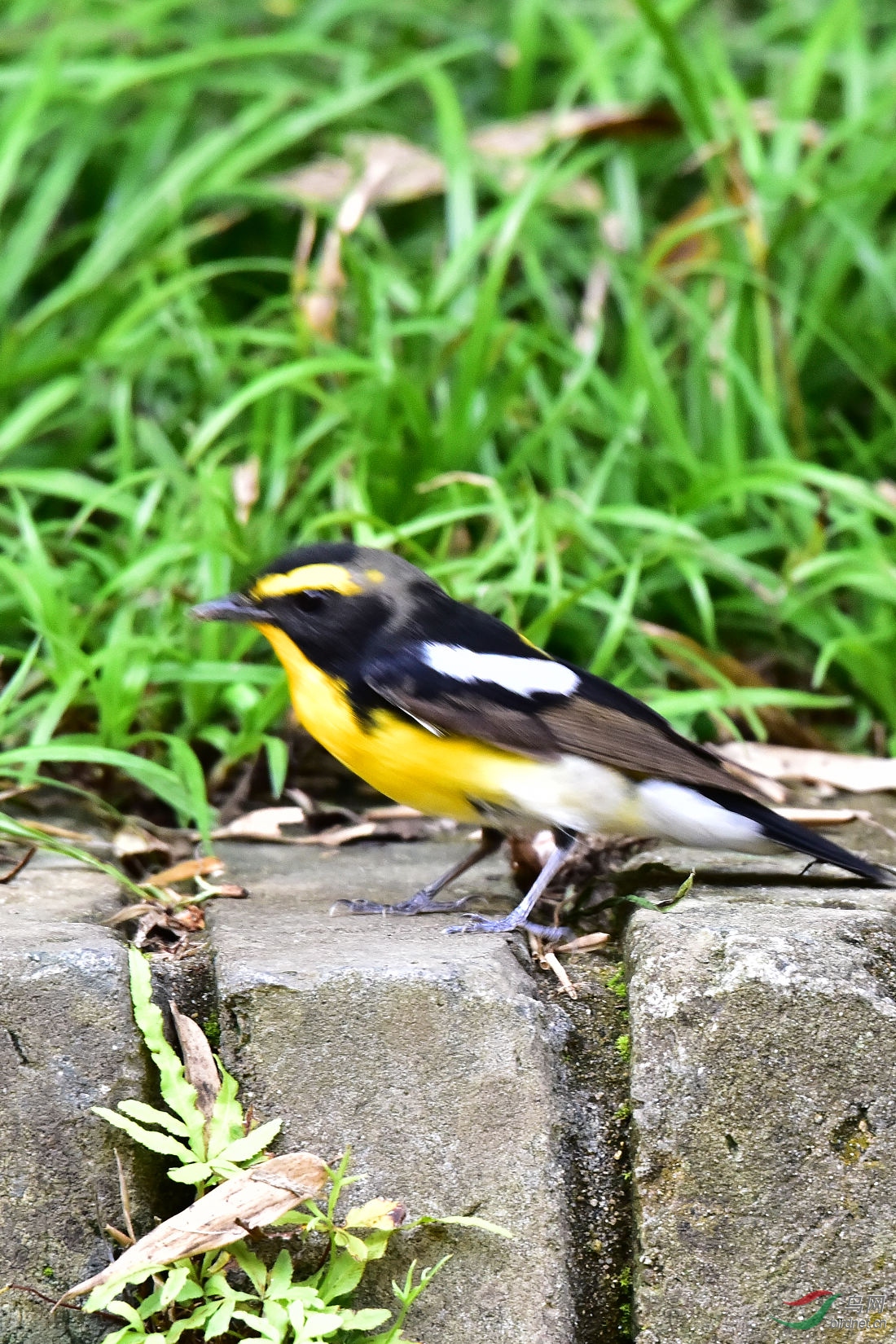 DSC_0451.JPG
